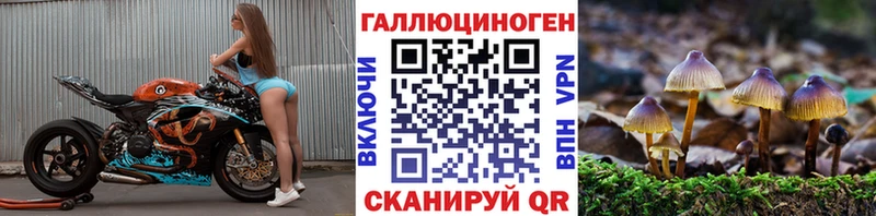 Псилоцибиновые грибы ЛСД цены Октябрьский