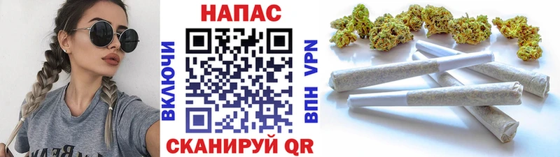 Канабис гибрид  Октябрьский 